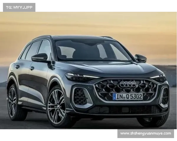 全新奥迪Q5L要来了！轴距再加长，三联屏+双激光雷达，又是爆款？