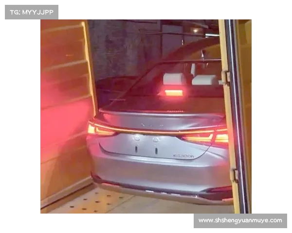 全新雷克萨斯ES曝光,犀利大灯+贯穿尾灯,换装大屏幕,能火吗?