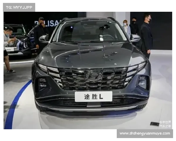 全新途胜问题车被指召回后仍问题不断，回应：邀车主到店解决